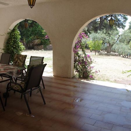 Chalkidiki Beachfront Haven - Perfect Location نيكيتي المظهر الخارجي الصورة