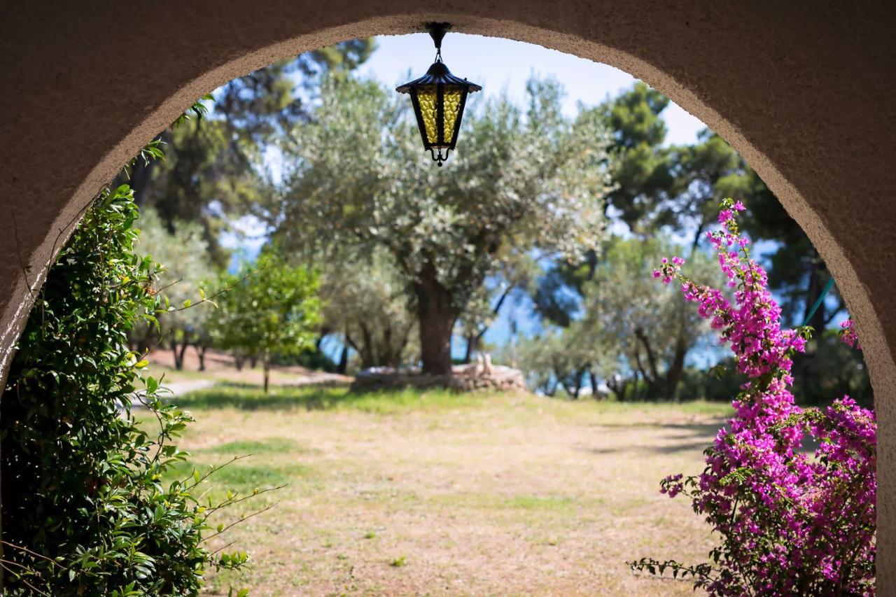 Chalkidiki Beachfront Haven - Perfect Location نيكيتي المظهر الخارجي الصورة